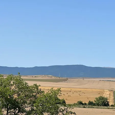 Deluxe With Sea View Vineyard *