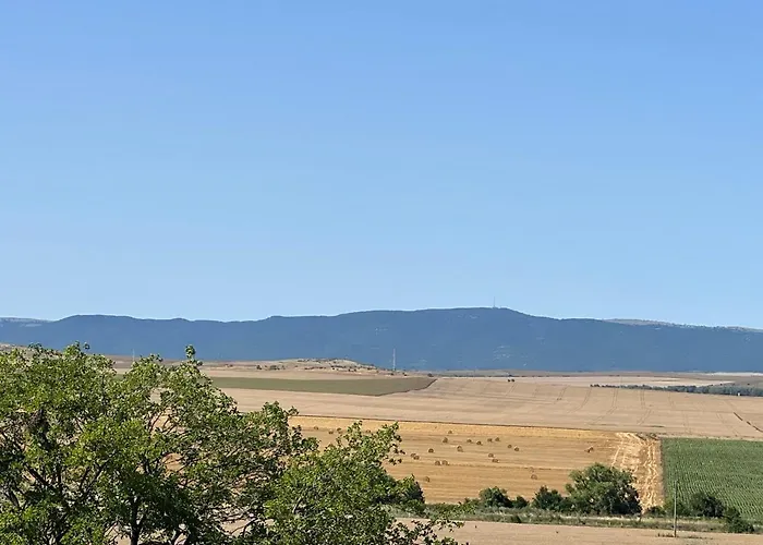 Deluxe With Sea View Vineyard *